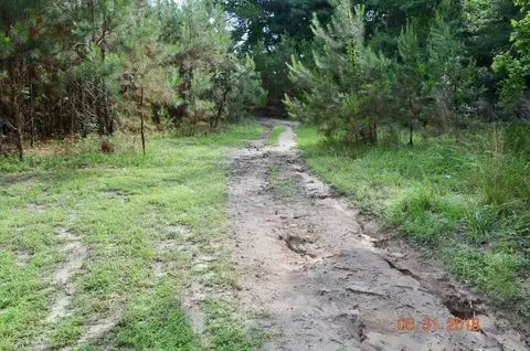 1515 Lawrence Rd, Broadway, NC 27505 photo 6
