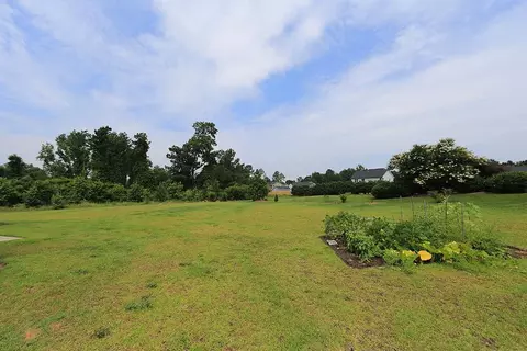 11 Setter Ct, Angier, NC 27501 photo 23