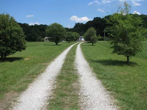 1668 Cunningham Rd, Semora, NC 27343 photo 23