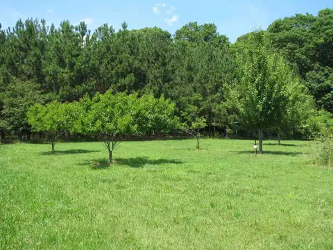 1668 Cunningham Rd, Semora, NC 27343 photo 24