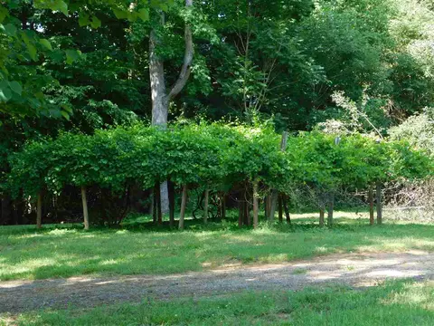 2007 Soapstone Mountain Rd, Staley, NC 27355 photo 15
