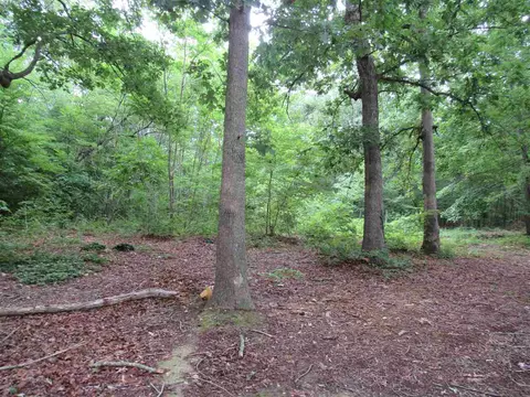 1187 N Moore Rd, Robbins, NC 27325 photo 8