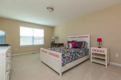 108 Laurel Mist Way, Durham, NC 27703 photo 10