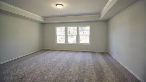 175 Bingham Creek Dr, Garner, NC 27529 photo 6