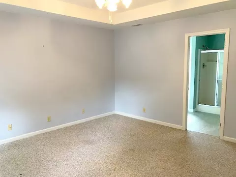 14 Otters Run, Durham, NC 27712 photo 8