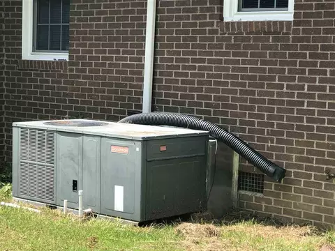 956 Fire Lane Rd, Bunnlevel, NC 28323 photo 4