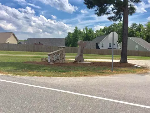 357 Sequoia Dr, Clayton, NC 27527 photo 22