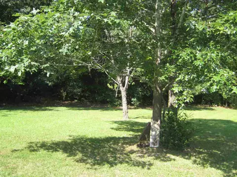 135 Radcliff Cir, Durham, NC 27713 photo 22