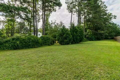 96 Wiregrass Ct, Angier, NC 27501 photo 25