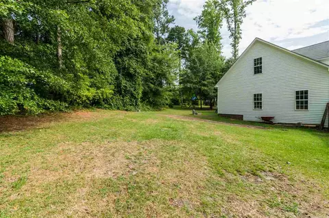 96 Wiregrass Ct, Angier, NC 27501 photo 22