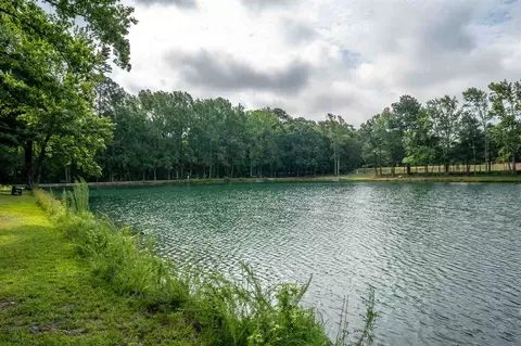 985 Tender Dr, Apex, NC 27502 photo 25