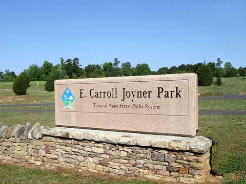 300 Watchet Pl, Wake Forest, NC 27587 photo 23