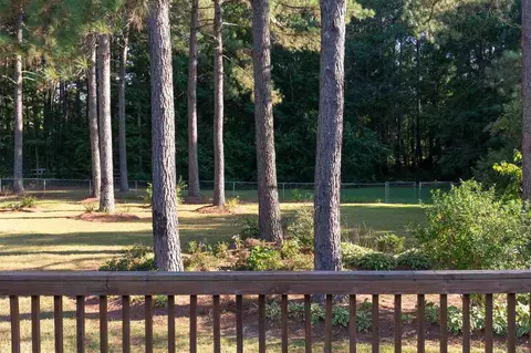 119 Phyllis Dr, Benson, NC 27504 photo 11