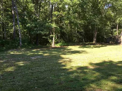 689 Silas Moore Rd, Coats, NC 27521 photo 14
