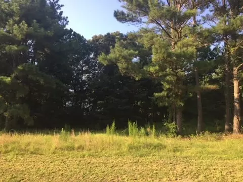 3517 Lebatton Dr, Wake Forest, NC 27587 photo 3