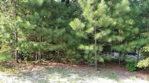 3125 Gibson Rd, Durham, NC 27703 photo 1