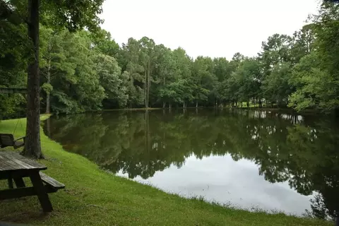 279 W Thicket Dr, Angier, NC 27501 photo 24