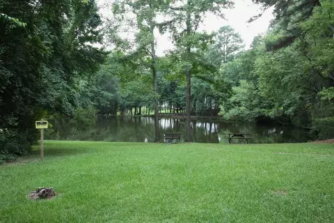 279 W Thicket Dr, Angier, NC 27501 photo 25