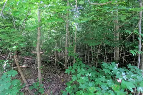 901 Doc Nichols Rd, Durham, NC 27703 photo 7