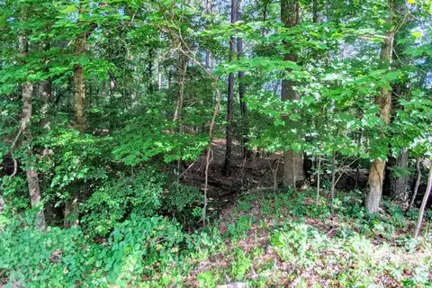 723 Doc Nichols Rd, Durham, NC 27703 photo 3