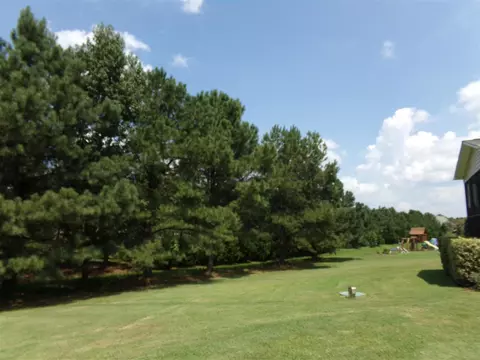 46 Islan Ct, Willow Spring, NC 27592 photo 22