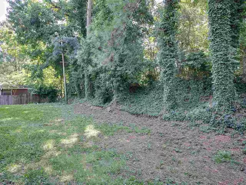 613 W Markham Ave, Durham, NC 27701 photo 22