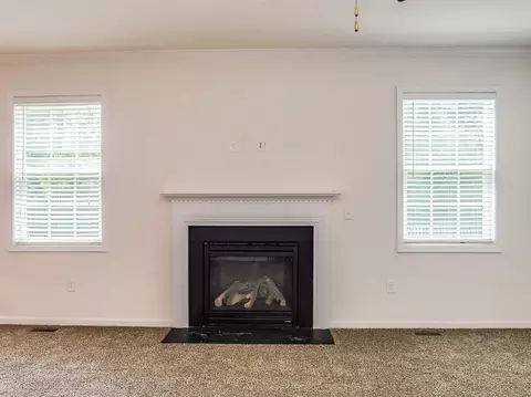 911 Black Boulder Trl, Durham, NC 27712 photo 4