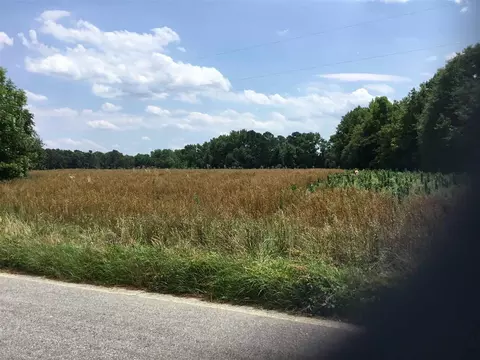 941 Woodards Dairy Rd, Middlesex, NC 27557 photo 15