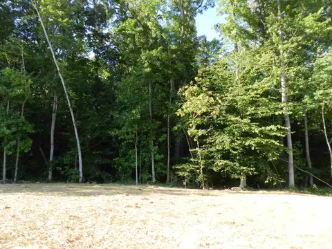 363 Bornean Dr, Garner, NC 27529 photo 6