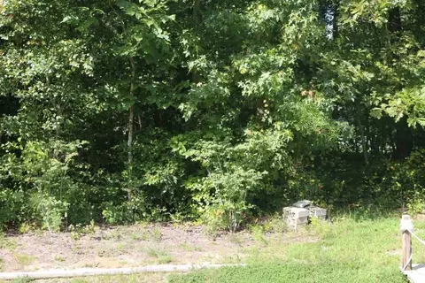 50 Fallow Ct, Angier, NC 27501 photo 2