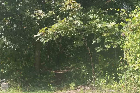 50 Fallow Ct, Angier, NC 27501 photo 1