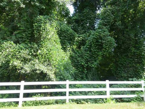 154 Forthview Way, Apex, NC 27502 photo 21