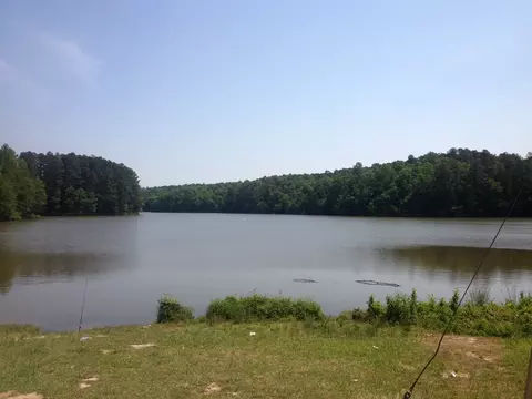 232 Springtime Fields Ln, Wake Forest, NC 27587 photo 21