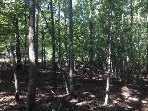 291 Alpine Dr, Moncure, NC 27559 photo 5