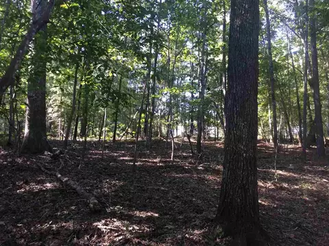 291 Alpine Dr, Moncure, NC 27559 photo 4