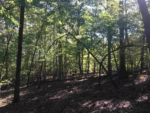 291 Alpine Dr, Moncure, NC 27559 photo 6
