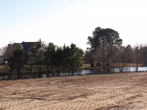 95 Watersedge Ln, Smithfield, NC 27577 photo 24