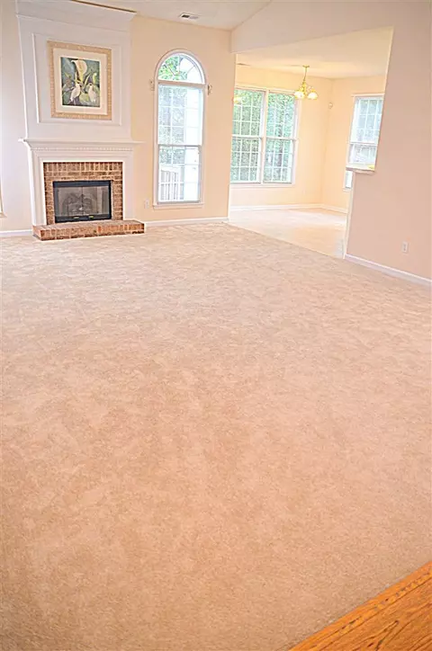 808 Clearview Ln, Durham, NC 27713 photo 6