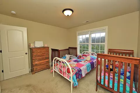 19 Baldwin Ridge Ct, Willow Spring, NC 27592 photo 14