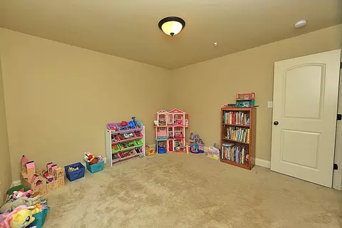 19 Baldwin Ridge Ct, Willow Spring, NC 27592 photo 17