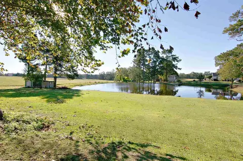 6875 Benson Hardee Rd, Benson, NC 27504 photo 22