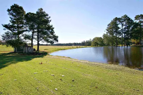 6875 Benson Hardee Rd, Benson, NC 27504 photo 24