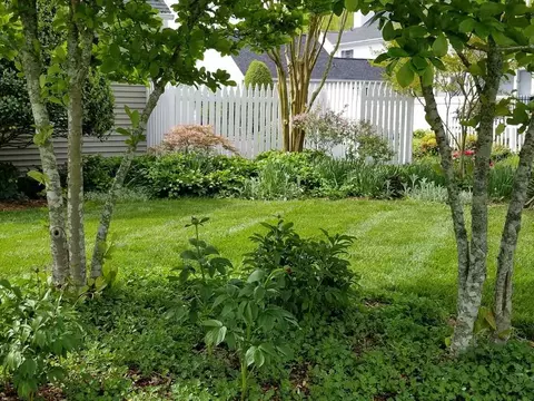 8 E Madison, Pittsboro, NC 27312 photo 3