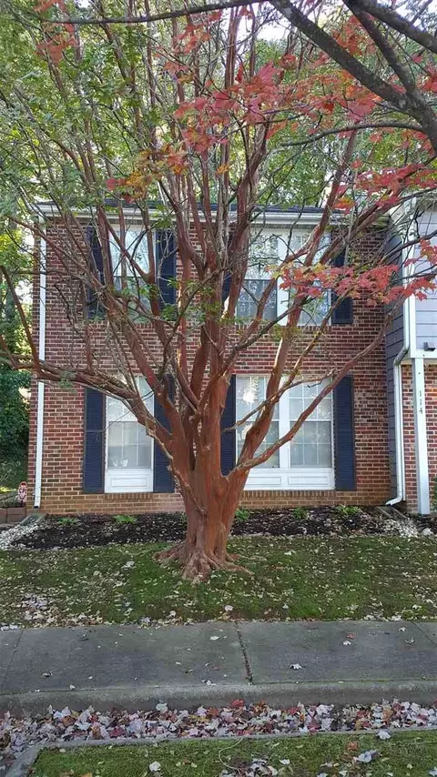 116 E Chalfont Way, Cary, NC 27513 photo 3