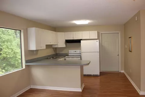 606 Shiloh Dr, Durham, NC 27703 photo 19