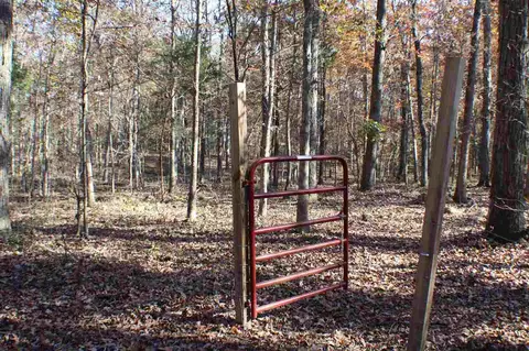 317 Bruce Burns Rd, Moncure, NC 27559 photo 19
