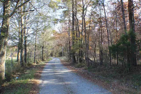 317 Bruce Burns Rd, Moncure, NC 27559 photo 25