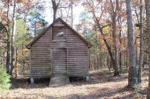 317 Bruce Burns Rd, Moncure, NC 27559 photo 20