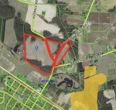 455 Pine Level Micro Rd, Selma, NC 27576 photo 1