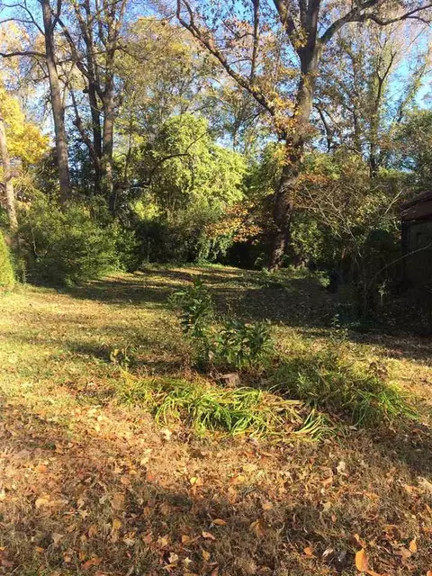 1305 Arnette Ave, Durham, NC 27707 photo 2
